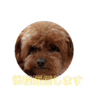 もなちゃんの一言2（個別スタンプ：13）