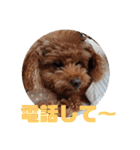 もなちゃんの一言2（個別スタンプ：17）