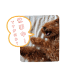 もなちゃんの一言2（個別スタンプ：19）