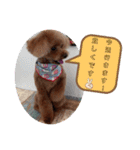もなちゃんの一言2（個別スタンプ：26）