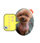 もなちゃんの一言2（個別スタンプ：28）