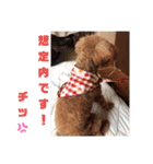 もなちゃんの一言2（個別スタンプ：29）