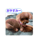 もなちゃんの一言2（個別スタンプ：32）