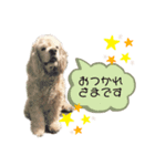 アメコカのレモン（個別スタンプ：8）