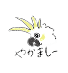 インコ＆オウムらいふ＃2（個別スタンプ：3）