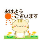 使いやすく見やすい コトラ猫（敬語) 春編（個別スタンプ：1）