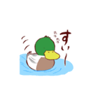 かもライフ（個別スタンプ：17）