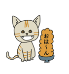 キジトラ猫イクラのあいさつ（個別スタンプ：1）