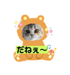 庶民的猫つなちゃんスタンプ（個別スタンプ：14）