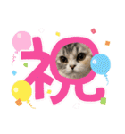 庶民的猫つなちゃんスタンプ（個別スタンプ：15）