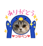 庶民的猫つなちゃんスタンプ（個別スタンプ：18）