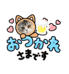 庶民的猫つなちゃんスタンプ（個別スタンプ：19）