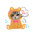 庶民的猫つなちゃんスタンプ（個別スタンプ：20）