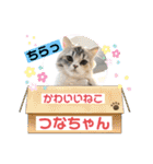 庶民的猫つなちゃんスタンプ（個別スタンプ：24）