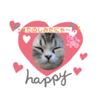 庶民的猫つなちゃんスタンプ（個別スタンプ：26）