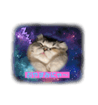 庶民的猫つなちゃんスタンプ（個別スタンプ：29）