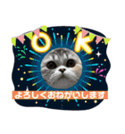 庶民的猫つなちゃんスタンプ（個別スタンプ：30）