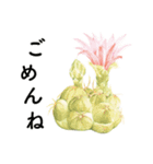 サボテンと多肉植物 丁寧ことば（個別スタンプ：5）