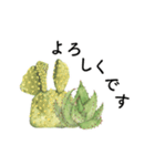 サボテンと多肉植物 敬語・接客用（個別スタンプ：7）