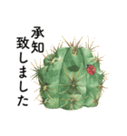 サボテンと多肉植物 敬語・接客用（個別スタンプ：9）