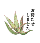 サボテンと多肉植物 敬語・接客用（個別スタンプ：19）