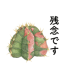 サボテンと多肉植物 敬語・接客用（個別スタンプ：25）