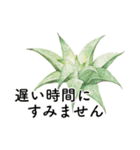 サボテンと多肉植物 敬語・接客用（個別スタンプ：26）