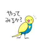 おしゃべりインコのニコ ②（個別スタンプ：7）