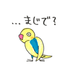 おしゃべりインコのニコ ②（個別スタンプ：11）