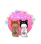 かー＆くー（個別スタンプ：20）