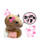 キンクマのVIVI（個別スタンプ：1）