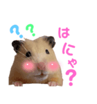 キンクマのVIVI（個別スタンプ：2）