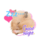 キンクマのVIVI（個別スタンプ：7）