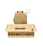 キンクマのVIVI（個別スタンプ：8）
