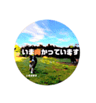 ボーダーコリー時々スコッチ。（個別スタンプ：32）
