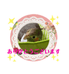 オカメインコでこんにちは（個別スタンプ：16）