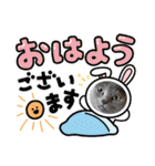 ウィンキーとパシャペリ（個別スタンプ：1）