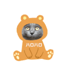 ウィンキーとパシャペリ（個別スタンプ：3）