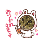 ウィンキーとパシャペリ（個別スタンプ：4）