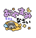 ウィンキーとパシャペリ（個別スタンプ：6）