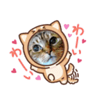ウィンキーとパシャペリ（個別スタンプ：16）