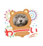 ウィンキーとパシャペリ（個別スタンプ：17）