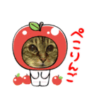 ウィンキーとパシャペリ（個別スタンプ：23）