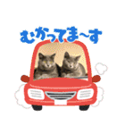 ウィンキーとパシャペリ（個別スタンプ：29）