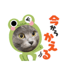 ウィンキーとパシャペリ（個別スタンプ：31）