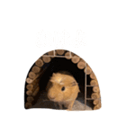 ねぼです。（個別スタンプ：4）
