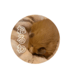 ねぼです。（個別スタンプ：8）