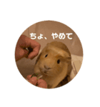 ねぼです。（個別スタンプ：10）