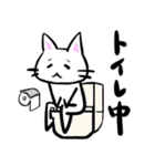 白猫の丸助（個別スタンプ：19）