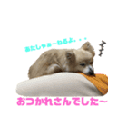 もふもふマリンちゃん3（個別スタンプ：4）